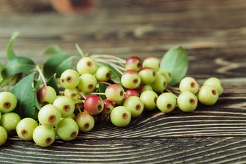 Fresh Sweet Small Apples on Wooden Background