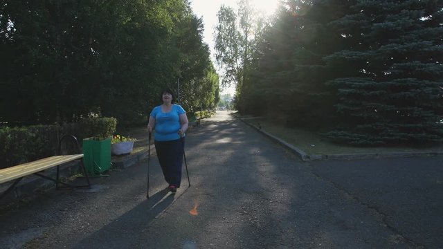 A woman walks through the Park with sticks for Nordic walking Sunny summer morning.