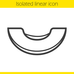 Melon linear icon