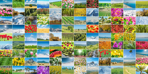 Collage of many nature photos