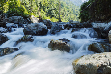 mountain river rapids Caucasus blue water green forest