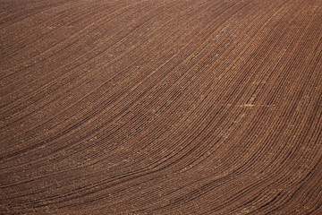 Newly ploughed paddock
