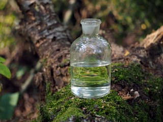 Water in the bottle. Forest moss. Reflection