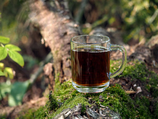 Tea in a cup. Forest, moss, wood snag