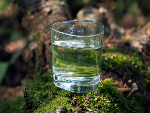 The water in the glass. Forest moss