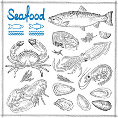 Hand drawn seafood