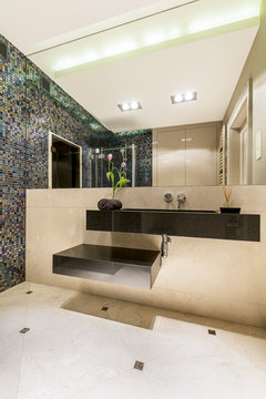 Large Portion Of Avantgarde In Modern Bathroom's Decor