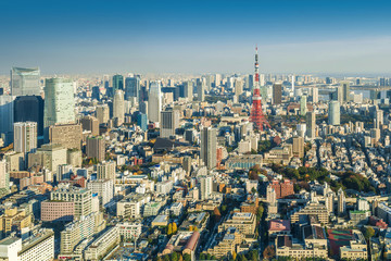 Fototapeta na wymiar Skyline of Tokyo Cityscape with Tokyo Tower, Japan