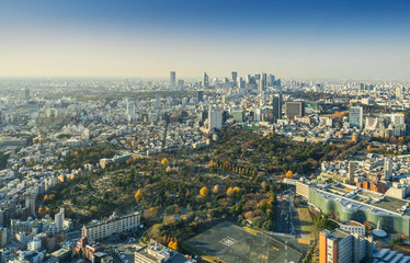 Fototapeta na wymiar Skyline of Tokyo Cityscape, Japan