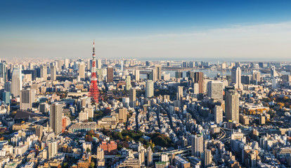 Skyline of Tokyo Cityscape with Tokyo Tower at sunset, Japan