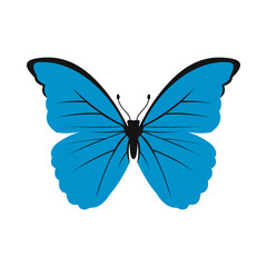 Blue butterfly icon in flat style on a white background