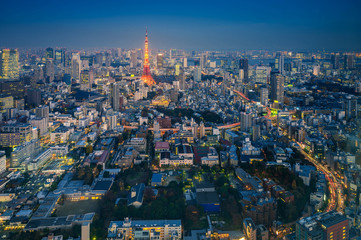 Fototapeta na wymiar Skyline of Tokyo Cityscape with Tokyo Tower at Night, Japan