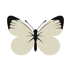 White butterfly icon in flat style on a white background