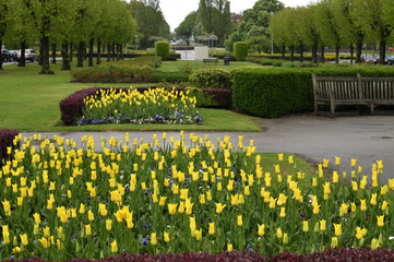 イギリスの田園都市：ウェリン・ガーデンシティの街並み