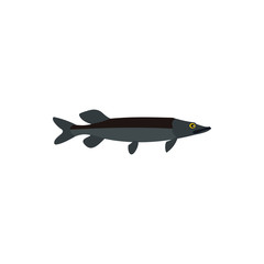 Saury fish icon in flat style on a white background