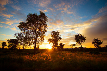 Fototapeta premium Sunset or sunrise over countryside landscape background
