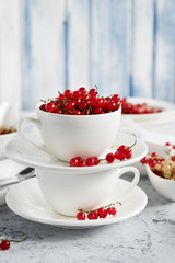 Two white cups with red currant. Light blue background. Vertical photo.