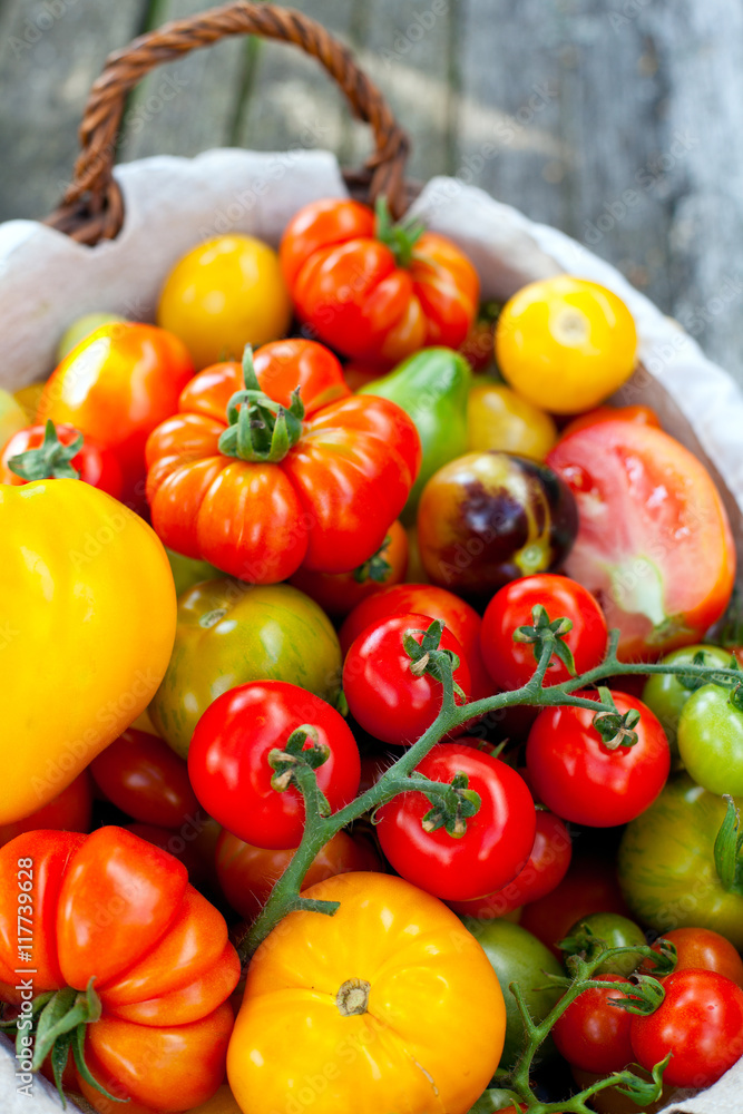 Poster colorful tomatoes in basket