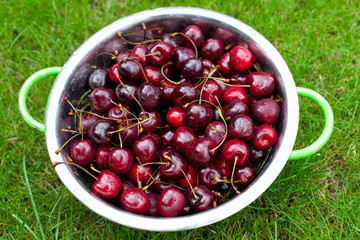 sweet cherries on grass