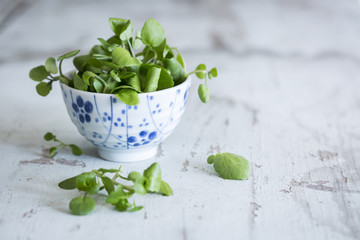 Bowl of watercress