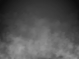 Foto op Plexiglas Mist of rook geïsoleerd transparant speciaal effect. Witte vector bewolking, mist of smog achtergrond. vector illustratie © ket4up