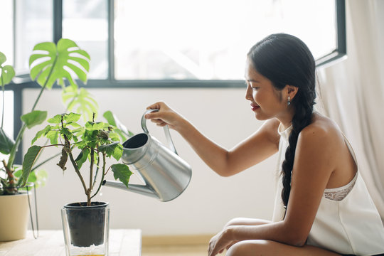 Young woman at home watering plant