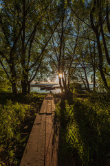 path among trees to a sunny beach and the parking of boats