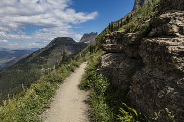 Fototapeta na wymiar Trail in Glacier National Park 
