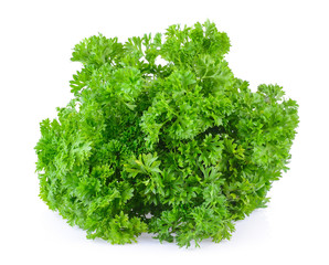 parsley on white background