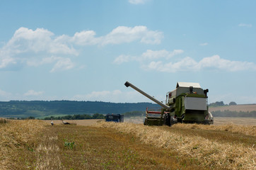 Harvest. Harvesting of wheat with a combine harvester.
