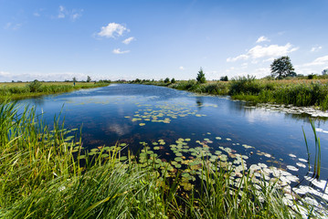 Starorzecze Narwi, Strękowa Góra © podlaski49