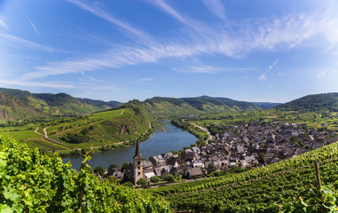 Blick auf Bremm an der Mosel mit Moselschleife