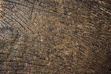 grunge wooden texture background, abstract dark