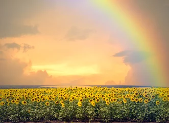 Deken met patroon Zonnebloem Zonnebloemen en regenboog