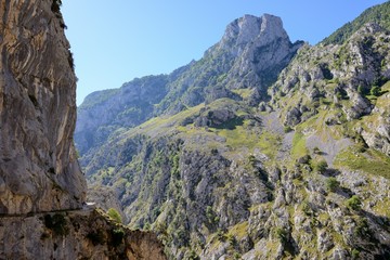 view of the rocks in the morning light
