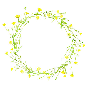 Floral wreath.Garland with buttercup flowers.Herbal circle frame.Watercolor hand drawn illustration.