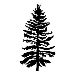Hand drawn fir tree vector illustration. Silhouette of black pine tree.