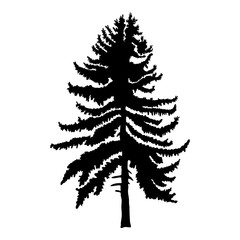 Hand drawn fir tree vector illustration. Silhouette of black pine tree.