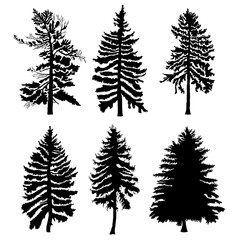 Naklejka na ściany i meble Fir trees set isolated on white background illustration. Collection of black coniferous trees silhouettes. Hand drawing. 