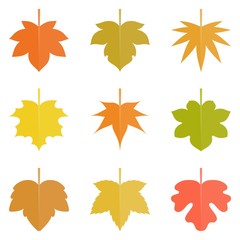 Leaf icon, Maple leave icon set, autumn theme flat vector illustration