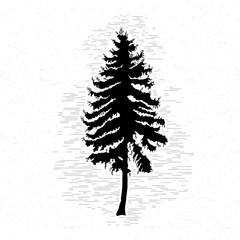 Vector silhouette of Canadian pine tree. Conifer tree silhouettes on the white textured background.