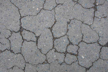 This is the cement wall. It is good background.