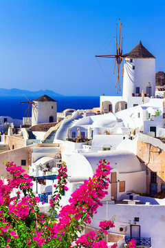 Fototapeta beautiful Greece . traditional windmills of Santorini