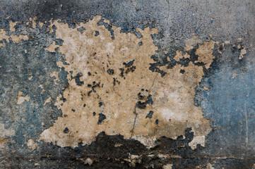 This is the cement wall. It is good background.