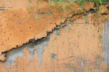 This is the cement wall. It is good background.