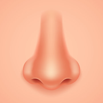 Human Nose Realistic Background Isolated 3d Design Vector Illustration