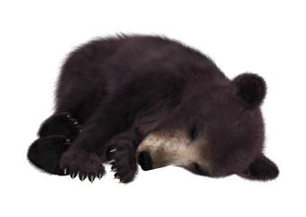 Fototapeta premium 3D Rendering Black Bear Cub on White