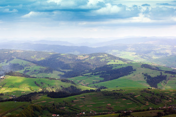 Fototapeta na wymiar landscape of a Carpathians mountains with fir-trees and grassy v
