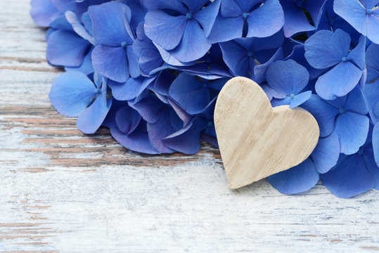 blue flower and wooden heart lying on wood