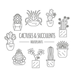 Cactuses and succulents icon set. Houseplants. Thin line design